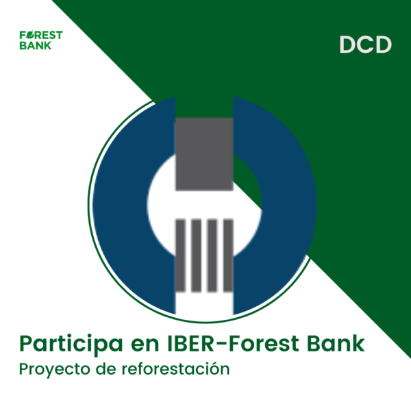 DCD participa Forest Bank